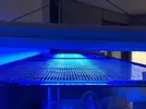 [TodoMarino.com] Ventino's reef