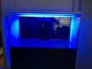 [TodoMarino.com] Ventino's reef
