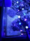 [TodoMarino.com] ACUARIO 80X40X30(Pantalla led no incluida) - huelva