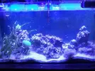[TodoMarino.com] ACUARIO 80X40X30(Pantalla led no incluida) - huelva