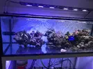 [TodoMarino.com] Vendo por Desmonte - Madrid - San Sebastian de los Reyes - Madrid