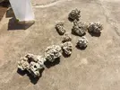 [TodoMarino.com] Ventino's reef