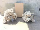[TodoMarino.com] Ventino's reef