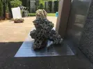 [TodoMarino.com] Ventino's reef