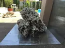 [TodoMarino.com] Ventino's reef