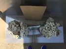 [TodoMarino.com] Ventino's reef