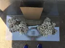 [TodoMarino.com] Ventino's reef