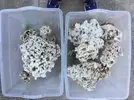 [TodoMarino.com] Ventino's reef