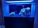 [TodoMarino.com] Ventino's reef