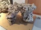 [TodoMarino.com] Ventino's reef