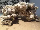 [TodoMarino.com] Ventino's reef