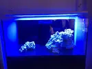 [TodoMarino.com] Ventino's reef