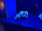 [TodoMarino.com] Ventino's reef