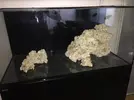 [TodoMarino.com] Ventino's reef