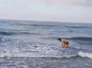 [TodoMarino.com] Ventino's reef