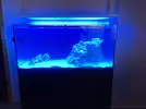 [TodoMarino.com] Ventino's reef