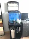[TodoMarino.com] Acuario marino. Madrid. ULTIMO DIA!!!