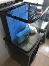 [TodoMarino.com] Acuario marino. Madrid. ULTIMO DIA!!!