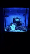 [TodoMarino.com] Acuario marino. Madrid. ULTIMO DIA!!!