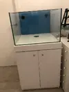 [TodoMarino.com] Acuario cubo 60x60x40 semicompleto (sabadell) barcelona - Barcelona (Sabadell)