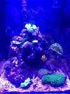 [TodoMarino.com] Nano de 30L