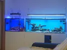[TodoMarino.com] cerrarVENDO URNA,sump,mesa y pantalla - valencia