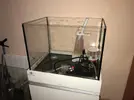 [TodoMarino.com] Vendo Acuario Marino completo. Barcelona. - Gavá (Barcelona)