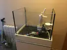 [TodoMarino.com] Vendo Acuario Marino completo. Barcelona. - Gavá (Barcelona)