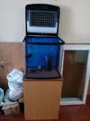 [TodoMarino.com] Rebajado Acuario marino - Caceres