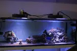 [TodoMarino.com] Vendo Acuario Entero por Desmonte - Madrid - Madrid