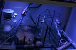 [TodoMarino.com] Vendo Acuario Entero por Desmonte - Madrid - Madrid