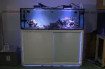 [TodoMarino.com] Vendo Acuario Entero por Desmonte - Madrid - Madrid