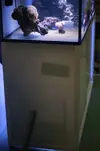 [TodoMarino.com] Vendo Acuario Entero por Desmonte - Madrid - Madrid