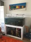 [TodoMarino.com] The Rookie Reef 2.0