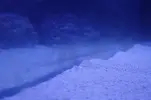 [TodoMarino.com] Nuevo acuario 250L Novato