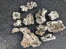 [TodoMarino.com] Vertex media reactor + roca muerta - Pontevedra