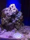 [TodoMarino.com] Cambio de agua