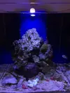 [TodoMarino.com] Cambio de agua