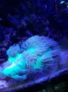 [TodoMarino.com] Vendo acuario 480l por Desmonte - cordoba