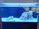 [TodoMarino.com] Ventino's reef
