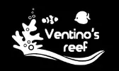 [TodoMarino.com] Ventino's reef