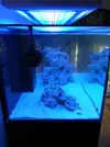 [TodoMarino.com] Ventino's reef
