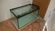 [TodoMarino.com] Pisito Reef. Poco a poco, ahora sí
