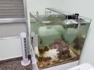 [TodoMarino.com] Acuario en general y opiniones sobre que hacer