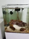 [TodoMarino.com] Acuario en general y opiniones sobre que hacer