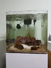 [TodoMarino.com] Acuario en general y opiniones sobre que hacer