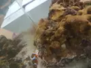 [TodoMarino.com] Acuario en general y opiniones sobre que hacer
