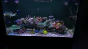 [TodoMarino.com] RED SEA MAX 250