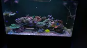 [TodoMarino.com] RED SEA MAX 250