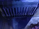 [TodoMarino.com] Eleccion skimmer 200l sin sump